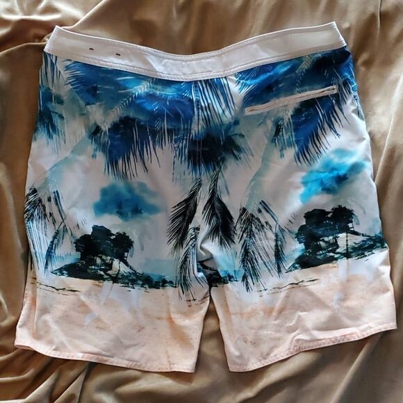 🏄🏊🚣American Eagle board shorts - Picture 3 of 3